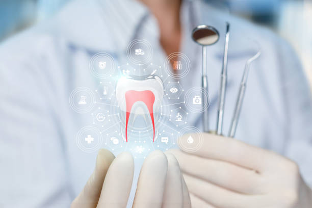 Best Dental Exams and Cleanings  in Churchill, MT